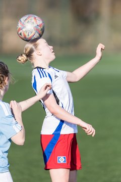 Bild 332 - F Hamburger SV 3 - Blau-Weiss 96 : Ergebnis: 5:1